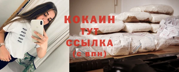 кокс Бородино
