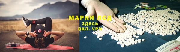 кокс Бородино