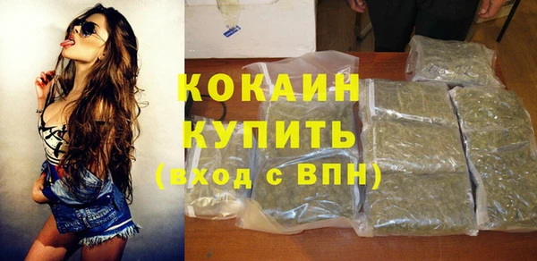 кокс Бородино