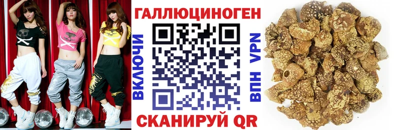 маркетплейс Telegram  Липки  Псилоцибиновые грибы GOLDEN TEACHER 